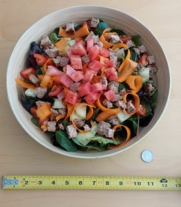 How to get ripped? Salad! This was an every evening snack for me. Yes, that is a one-foot diameter salad bowl, all for me (quarter shown for scale).