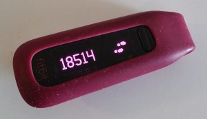 I credit 63% of my ripped-ted-ness to this little, beautiful device.