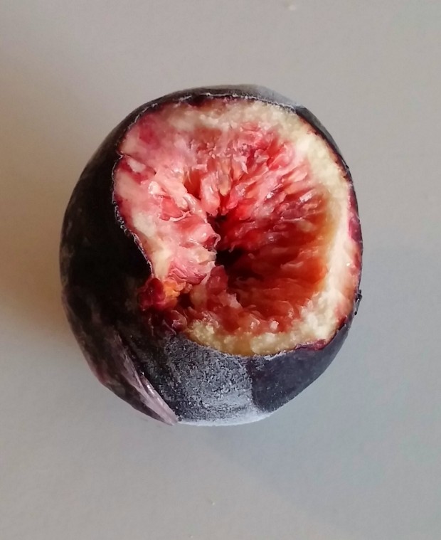 Fresh black fig frozen for a couple of hours. It's so sorbet-like you'll do a double-taste. 